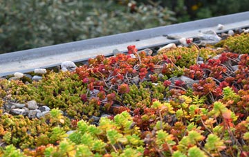 the cost of Malcoff green roof installation